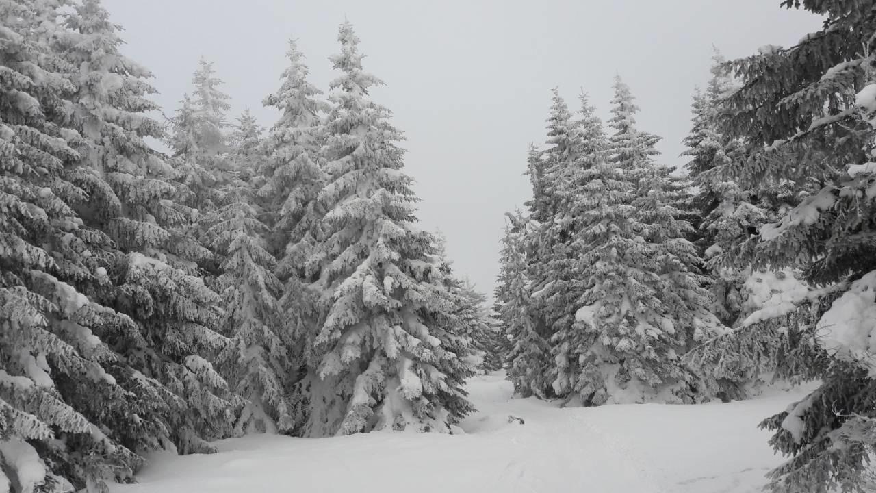 Lux Apartman B1 Milmari Kopaonik Exterior foto